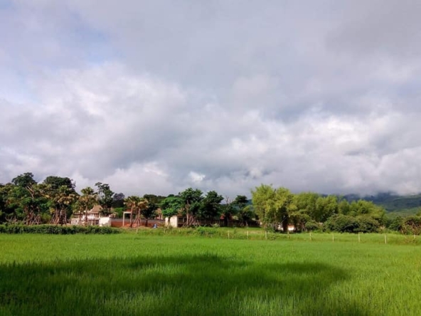 Tranquil Mae Rim Land for sale Chiang Mai | 2 Rai