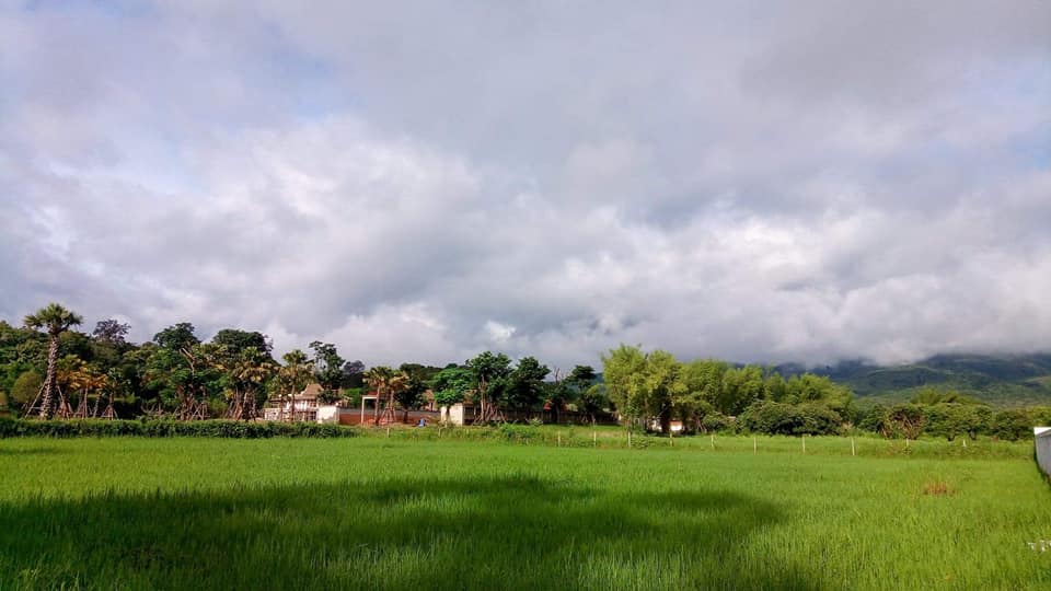 Tranquil Mae Rim Land for sale Chiang Mai | 2 Rai