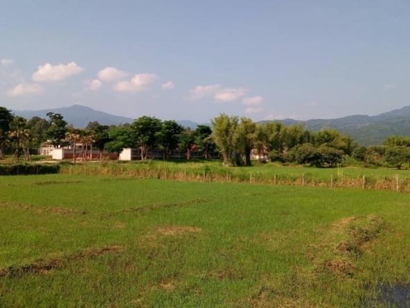 Tranquil Mae Rim Land for sale Chiang Mai | 2 Rai