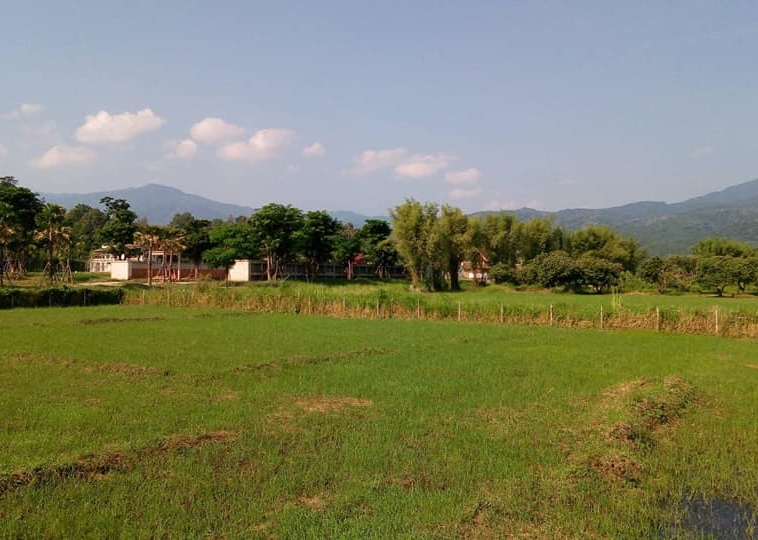 Tranquil Mae Rim Land for sale Chiang Mai | 2 Rai