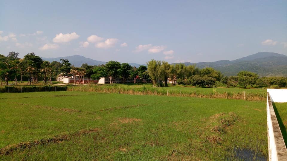 Tranquil Mae Rim Land for sale Chiang Mai | 2 Rai