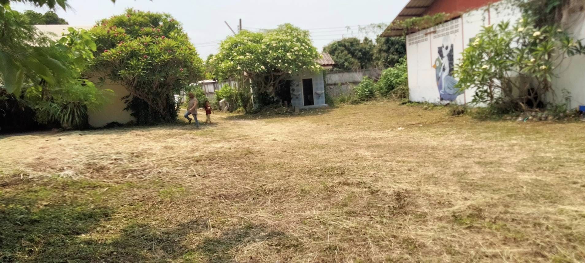 11 Rai Land for Sale near Chiang Mai - Great Location.-CMP-7