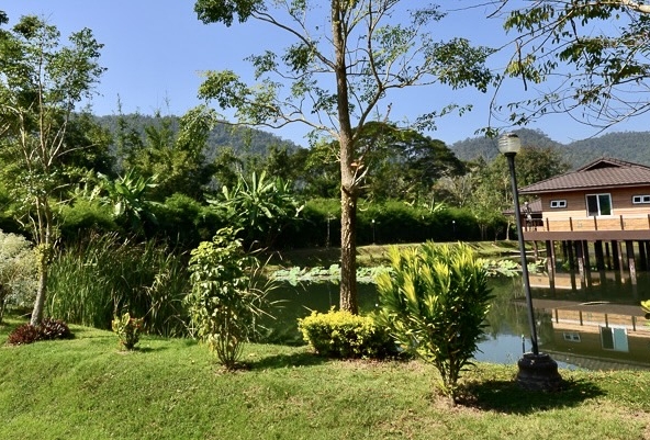 An Exclusive Haven Nested in The Mountains of Samoeng Chiang Mai-IRE-IRECPS004