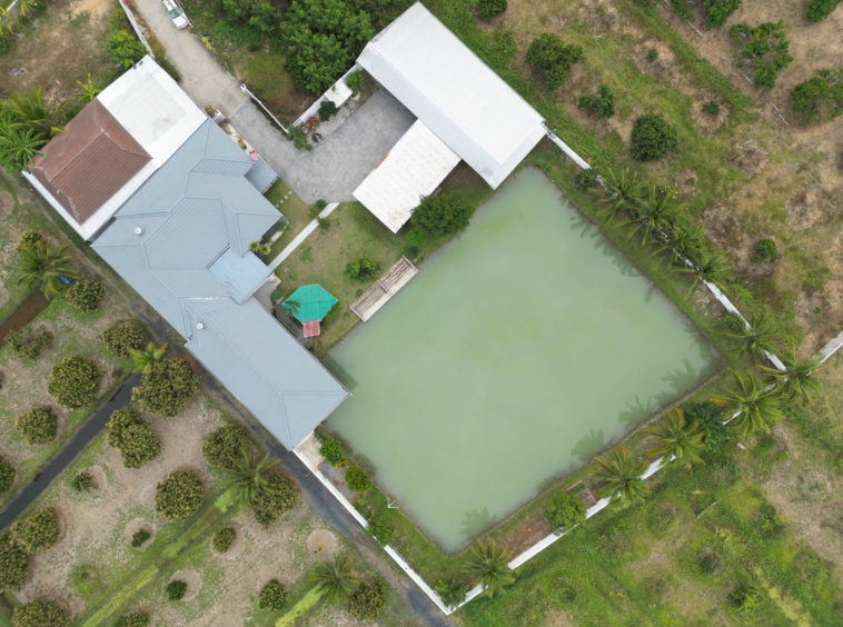 Epic Fishing Pond Retreat For Sale in Hang Dong