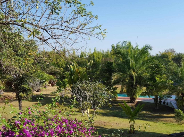 Chiang Mai Real Estate| Resort for Sale