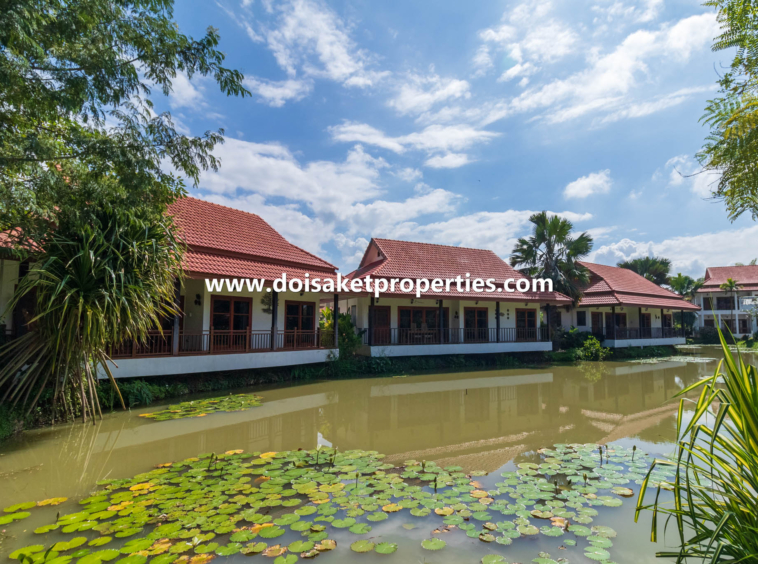 and Coffee Shop for Sale in Doi Saket