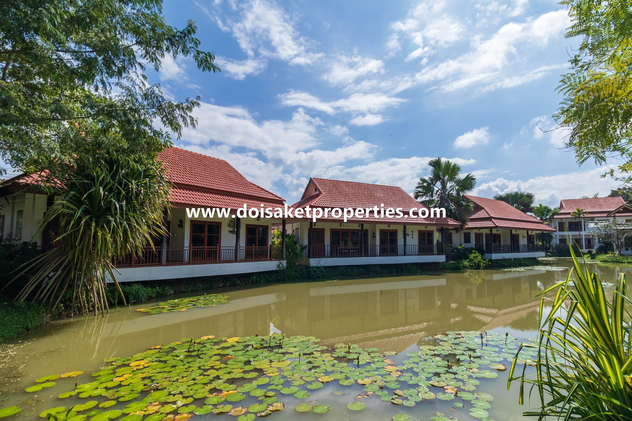 and Coffee Shop for Sale in Doi Saket