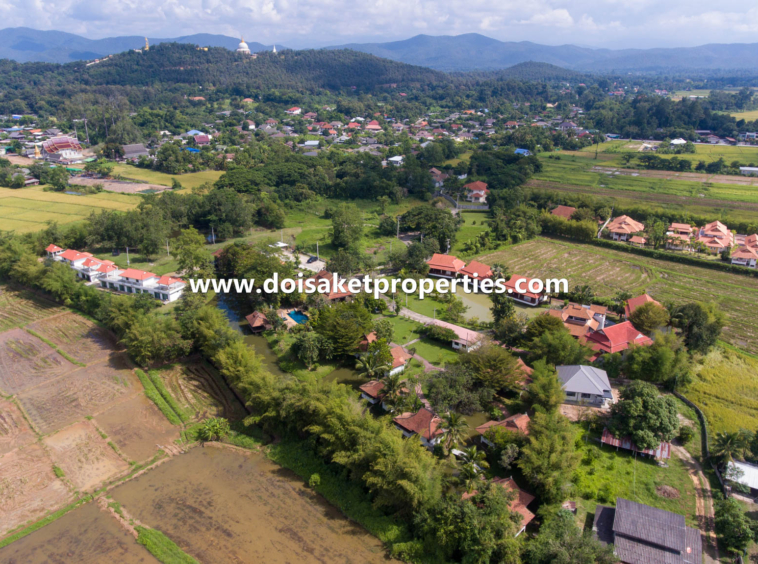 and Coffee Shop for Sale in Doi Saket