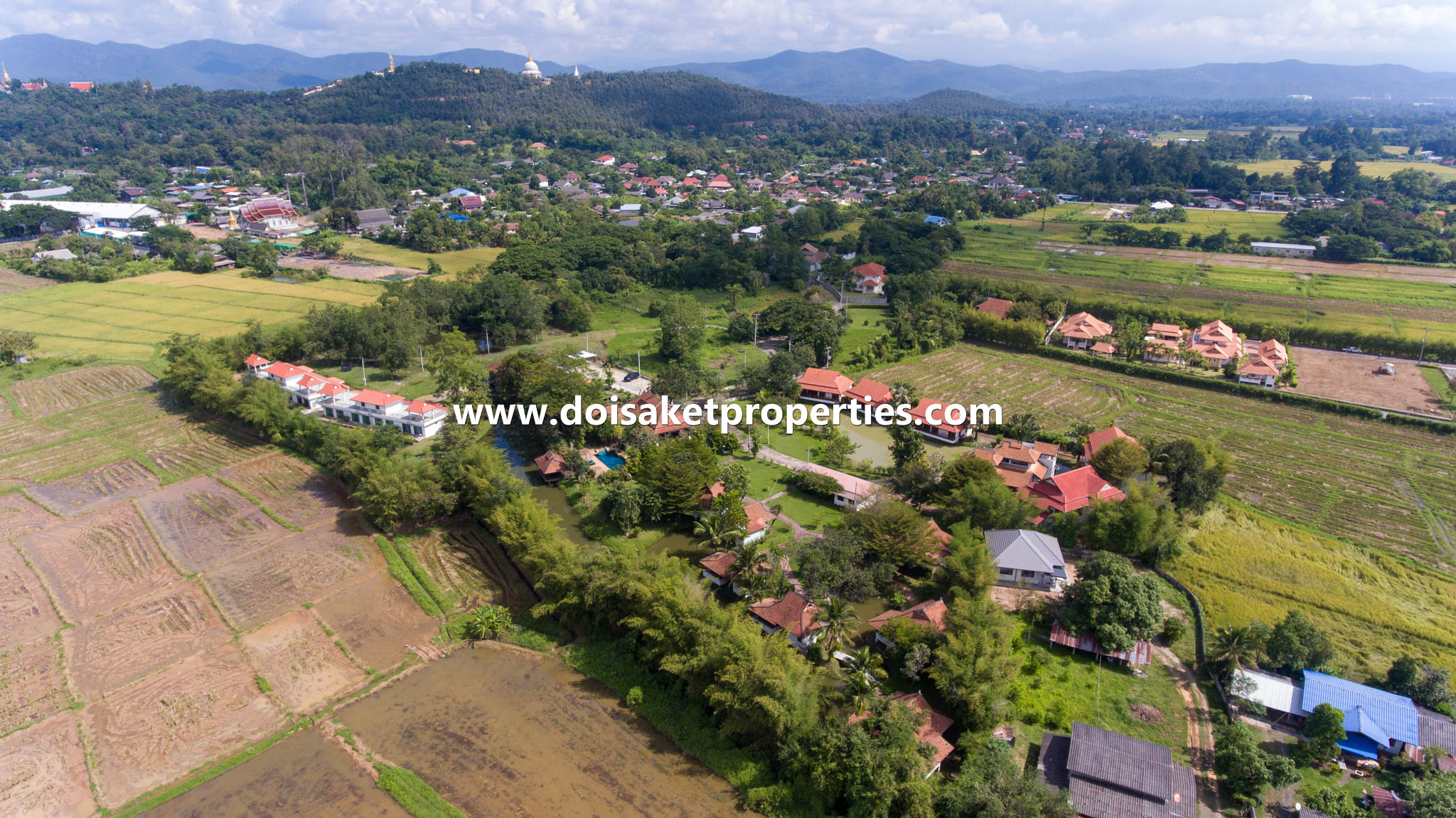 and Coffee Shop for Sale in Doi Saket