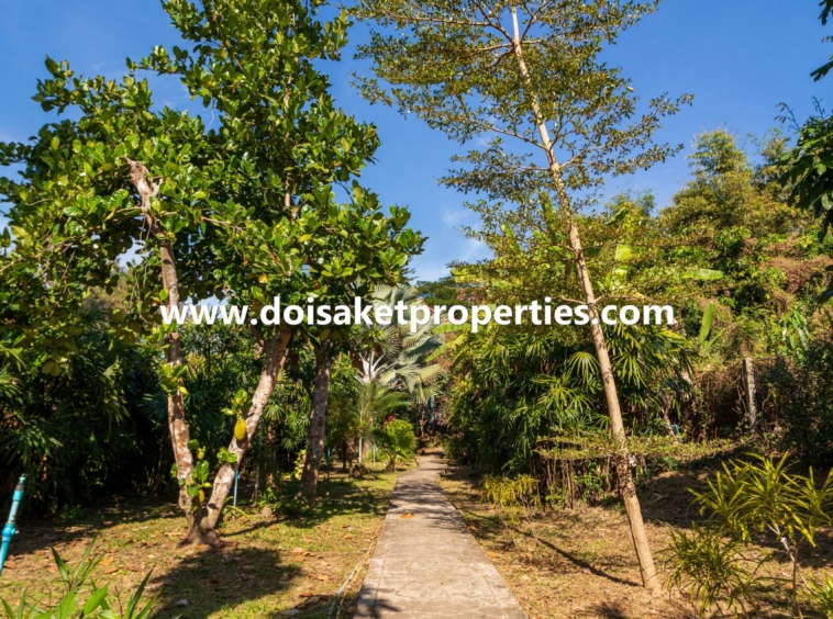 Doi Saket-DSP-(HS329-05) 5-Bedroom Family Home and Guest Bungalow with Gorgeous Gardens for Sale near Tao Garden in Luang Nuea