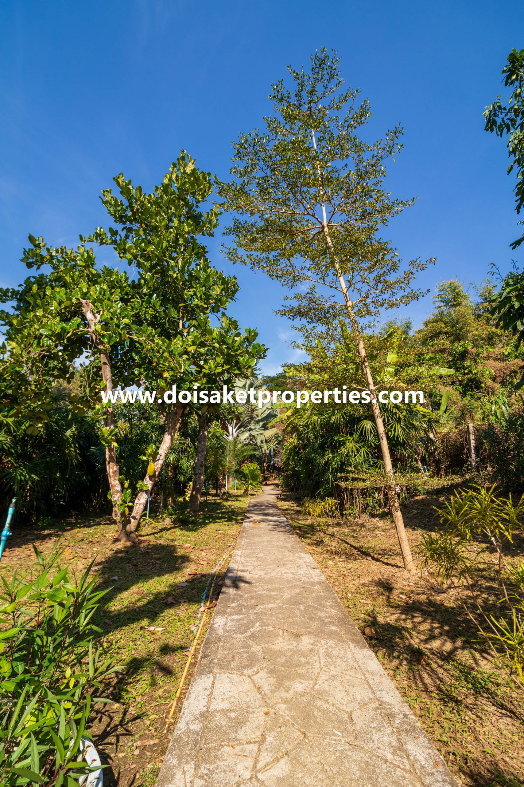 Doi Saket-DSP-(HS329-05) 5-Bedroom Family Home and Guest Bungalow with Gorgeous Gardens for Sale near Tao Garden in Luang Nuea