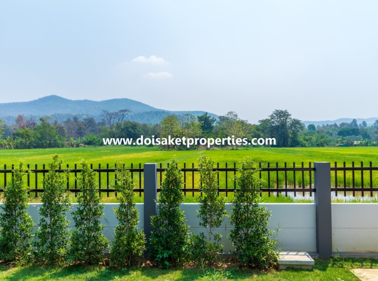 Doi Saket-DSP-(HS347-04) New Modern-Style Home with Swimming Pool and Views for Sale in Choeng Doi