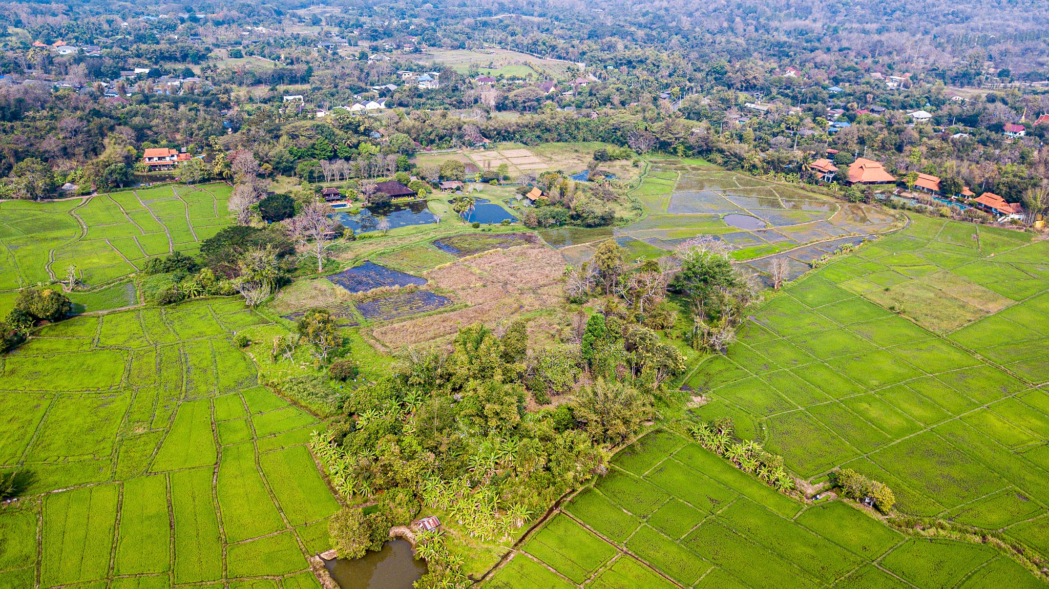 Chiang Mai