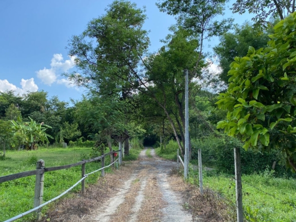 A beautiful home in the nature for rent in Mae Rim