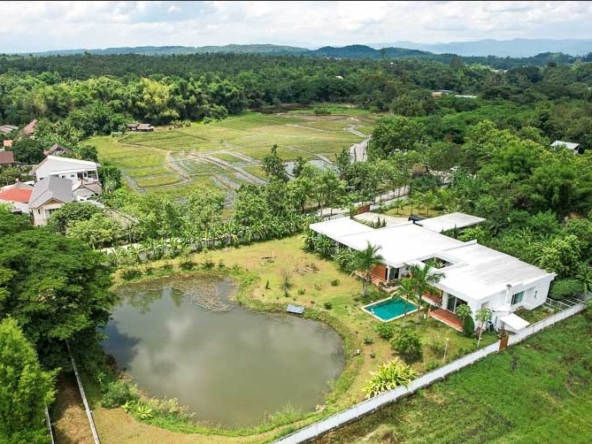 Luxury Pool Villa in Mae Rim