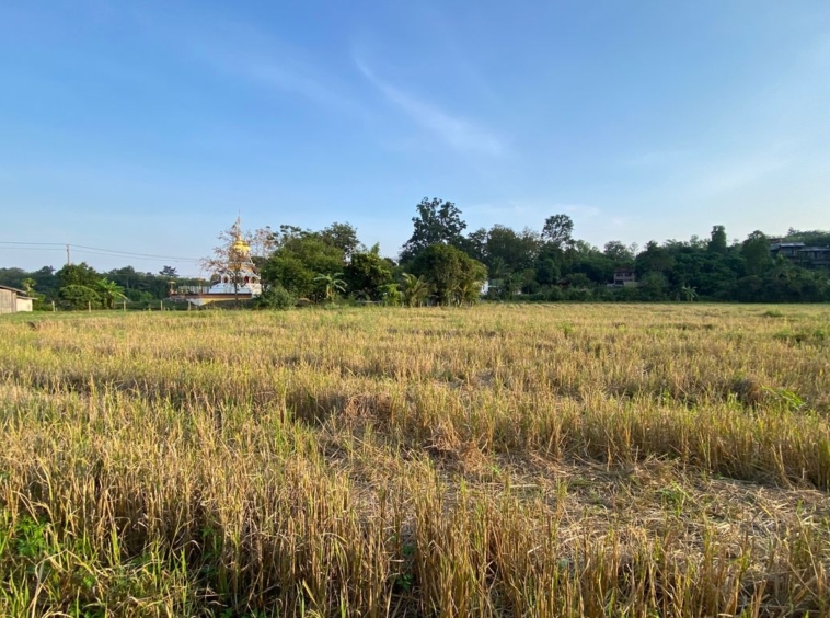 4 bed house for sale in Mae Rim