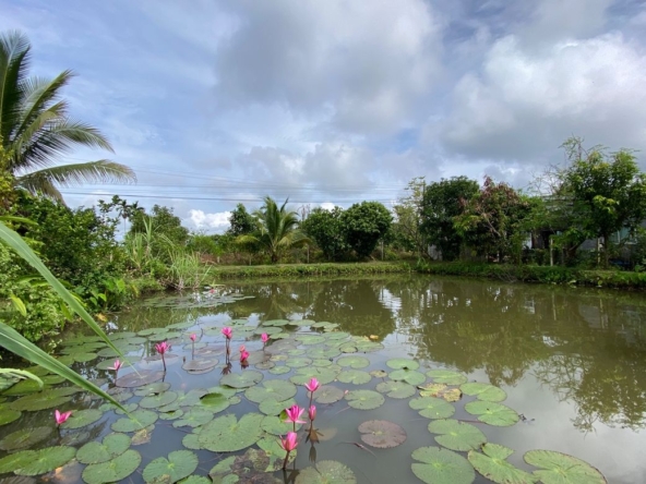 A pool villa 4 bed for sale in Mae Tang