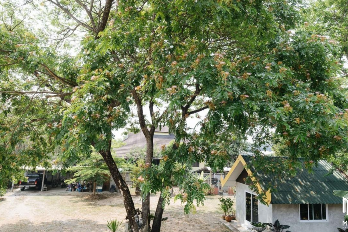 Baan Zone Nong Phueng - Saraphi