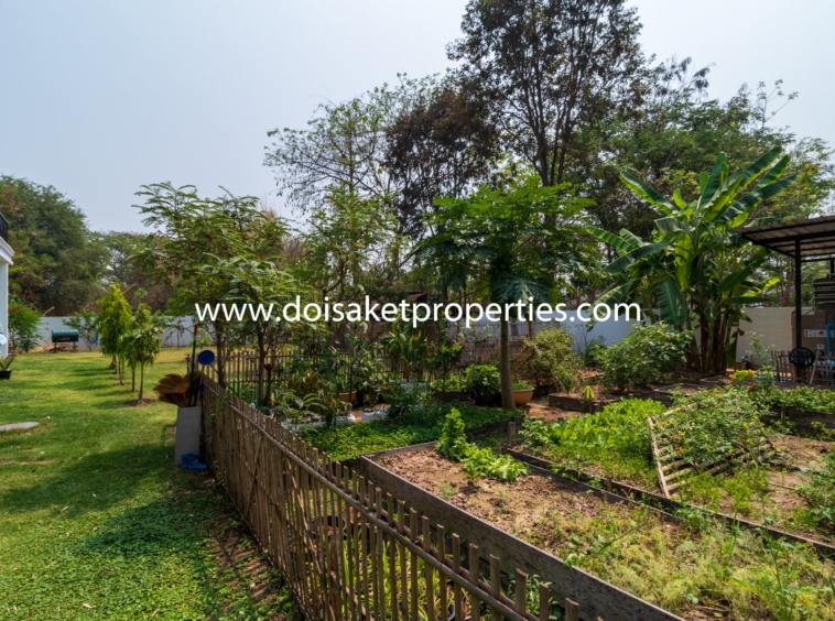 San Sai-DSP-(HS312-05) Incredible 5+ Bedroom Home with Swimming Pool for Sale near Maejo University in San Sai