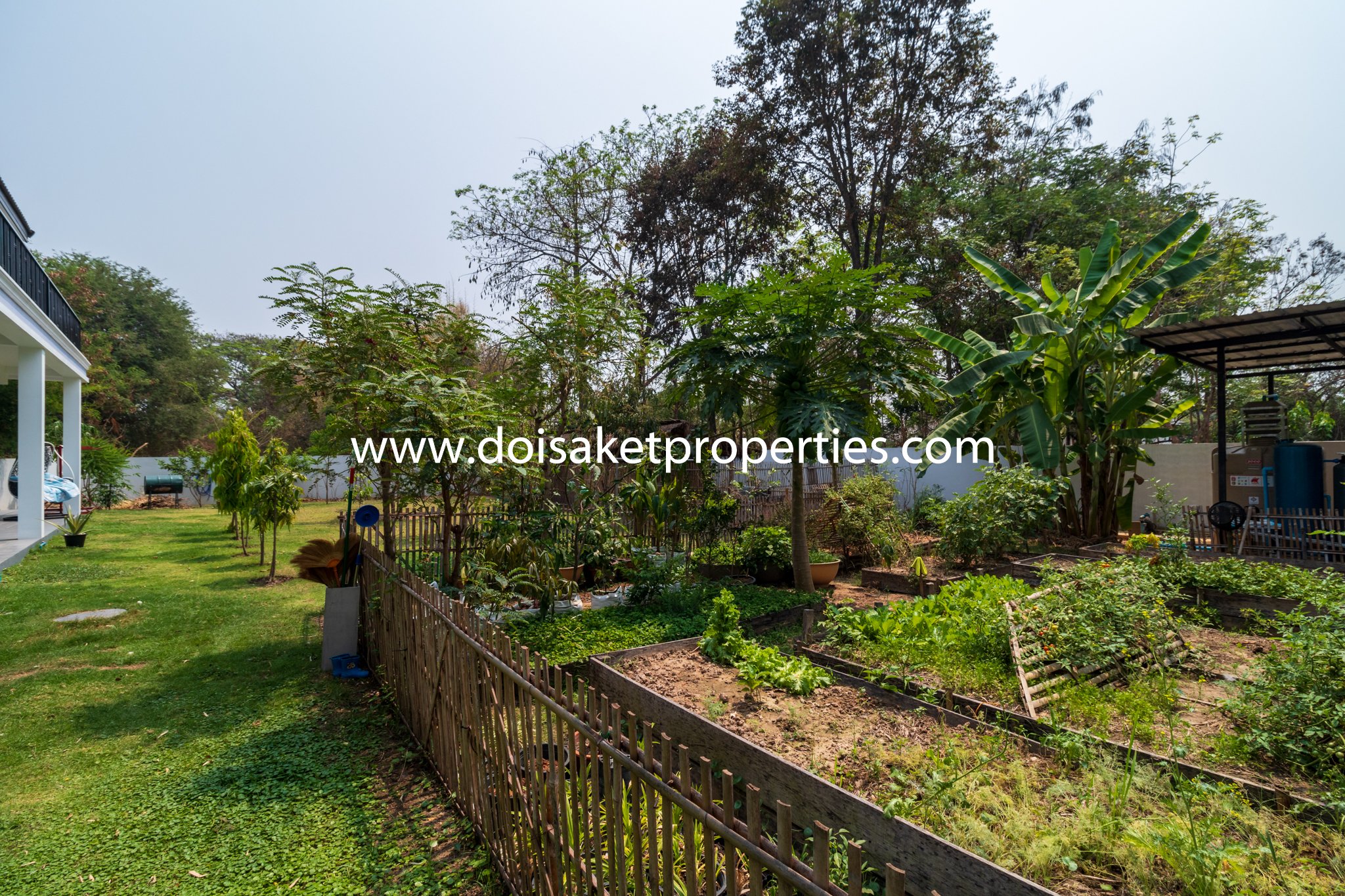 San Sai-DSP-(HS312-05) Incredible 5+ Bedroom Home with Swimming Pool for Sale near Maejo University in San Sai