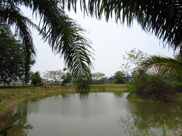 3 bedroom lake front house in Doi Saket for sale-SHG-HS412