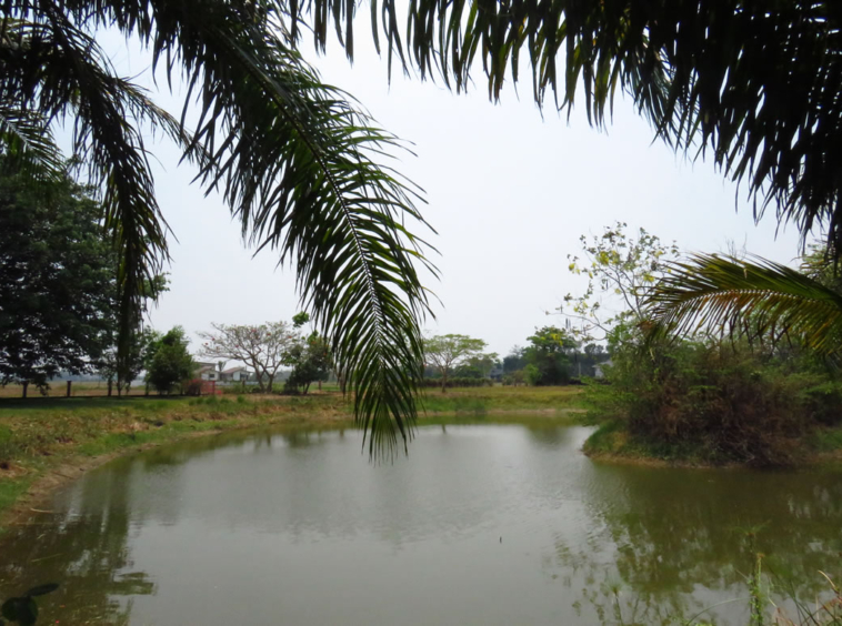 3 bedroom lake front house in Doi Saket for sale-SHG-HS412