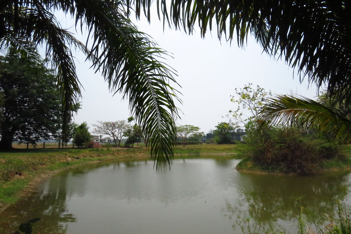 3 bedroom lake front house in Doi Saket for sale-SHG-HS412