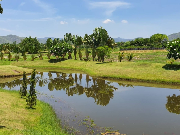 Lanna Style 5 bedroom home with pool for sale in Doi Saket-SHG-HS456