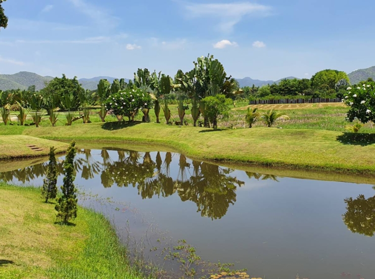 Lanna Style 5 bedroom home with pool for sale in Doi Saket-SHG-HS456