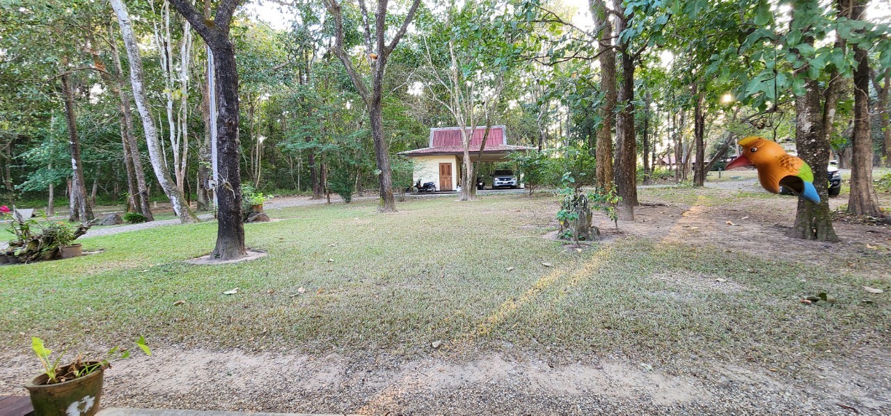 Thai style house in 25 Rai of land for sale in Doi Saket-SHG-HS459