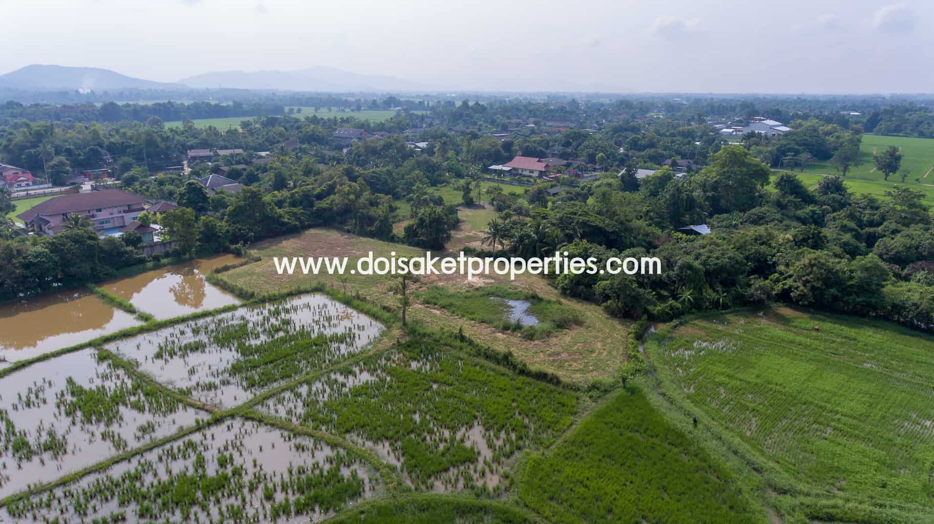 Doi Saket-DSP-(LS324-03) Land with Beautiful Views Close to the Main Road For Sale in Doi Saket