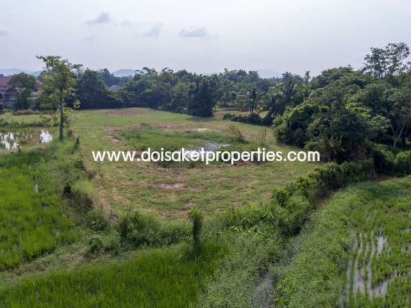 Doi Saket-DSP-(LS324-03) Land with Beautiful Views Close to the Main Road For Sale in Doi Saket