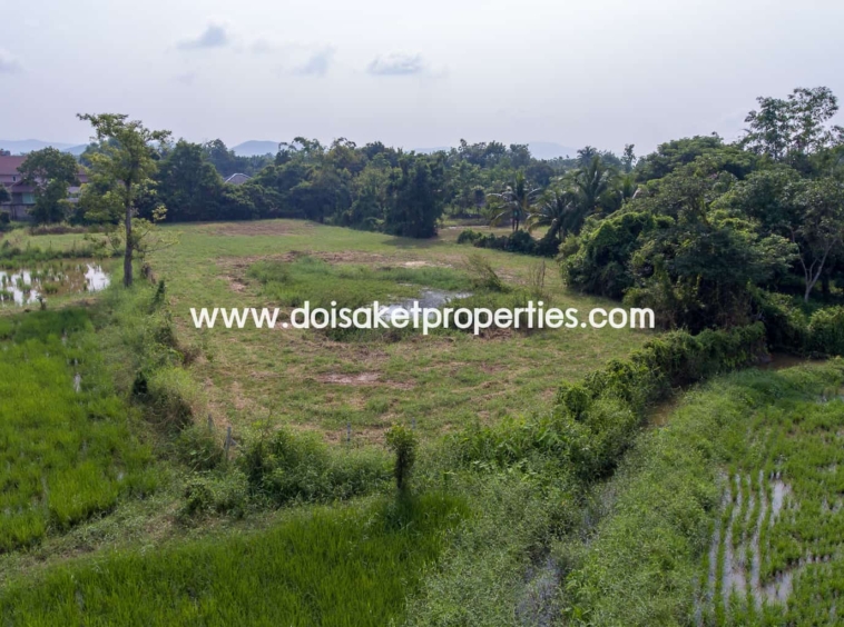 Doi Saket-DSP-(LS324-03) Land with Beautiful Views Close to the Main Road For Sale in Doi Saket