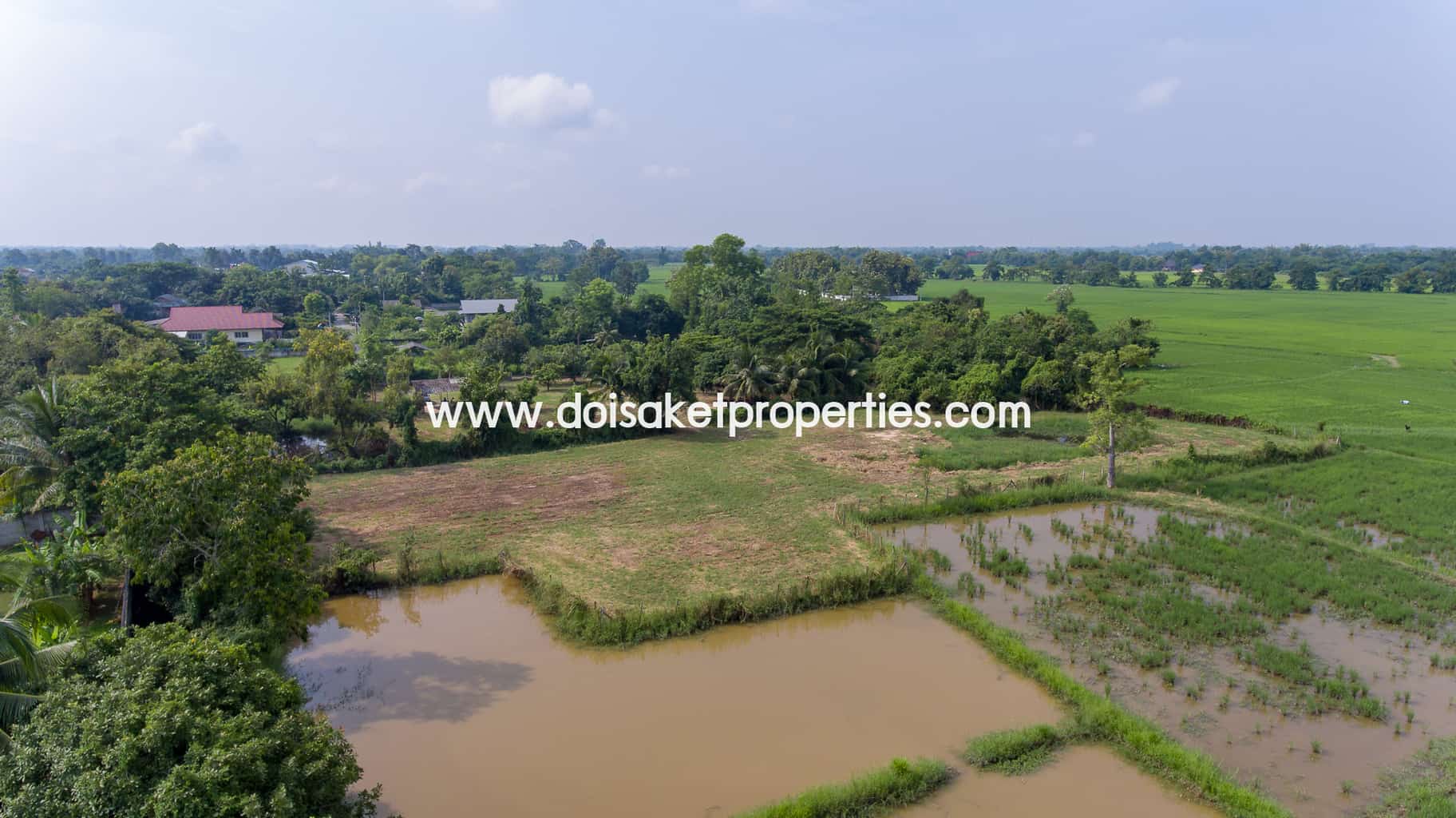 Doi Saket-DSP-(LS324-03) Land with Beautiful Views Close to the Main Road For Sale in Doi Saket