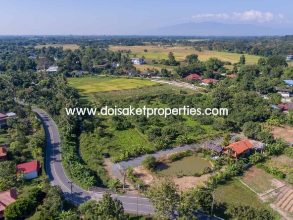 Doi Saket-DSP-(LS328-05) Nice Plot of Land Full of Longan Trees for Sale in Luang Nuea