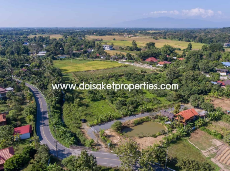 Doi Saket-DSP-(LS328-05) Nice Plot of Land Full of Longan Trees for Sale in Luang Nuea