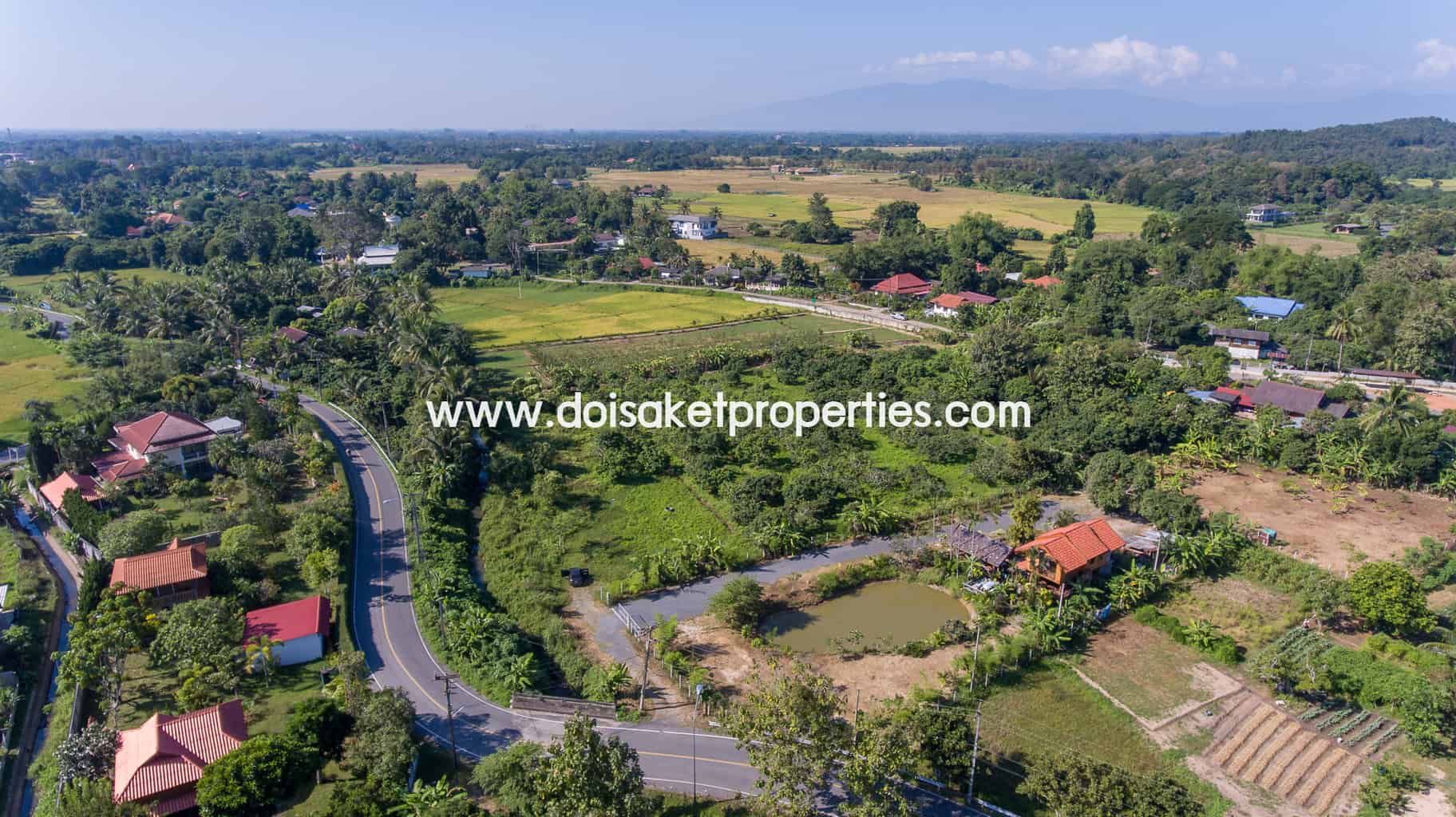 Doi Saket-DSP-(LS328-05) Nice Plot of Land Full of Longan Trees for Sale in Luang Nuea