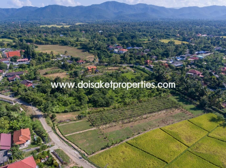 Doi Saket-DSP-(LS328-05) Nice Plot of Land Full of Longan Trees for Sale in Luang Nuea