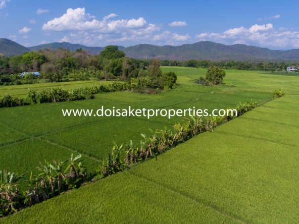 Doi Saket-DSP-(LS347-07) 7.5+ Rai of Land with Great Views in Luang Nuea