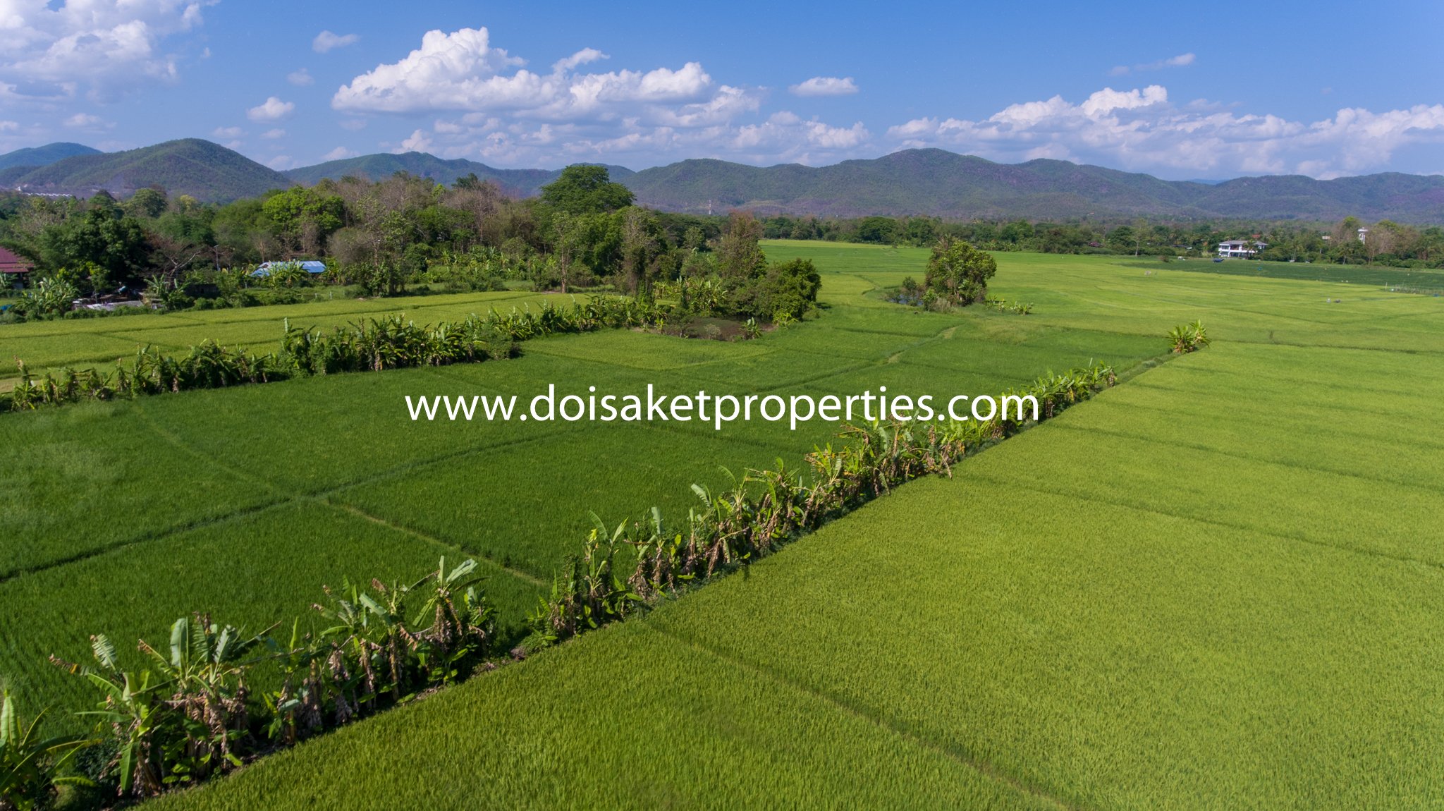 Doi Saket-DSP-(LS347-07) 7.5+ Rai of Land with Great Views in Luang Nuea