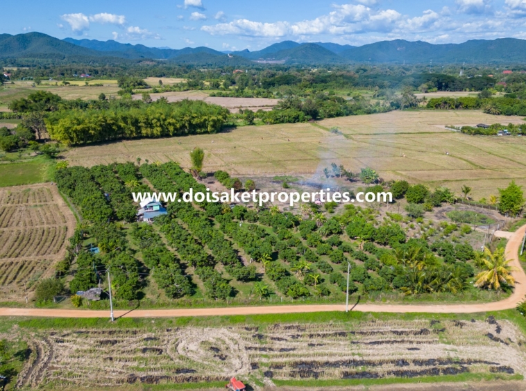 Doi Saket-DSP-(LS377-04) Beautiful 4+ Rai Plot of Land with Great Views for Sale in Luang Nuea