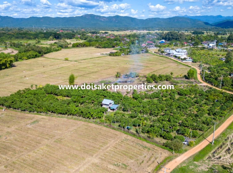 Doi Saket-DSP-(LS377-04) Beautiful 4+ Rai Plot of Land with Great Views for Sale in Luang Nuea