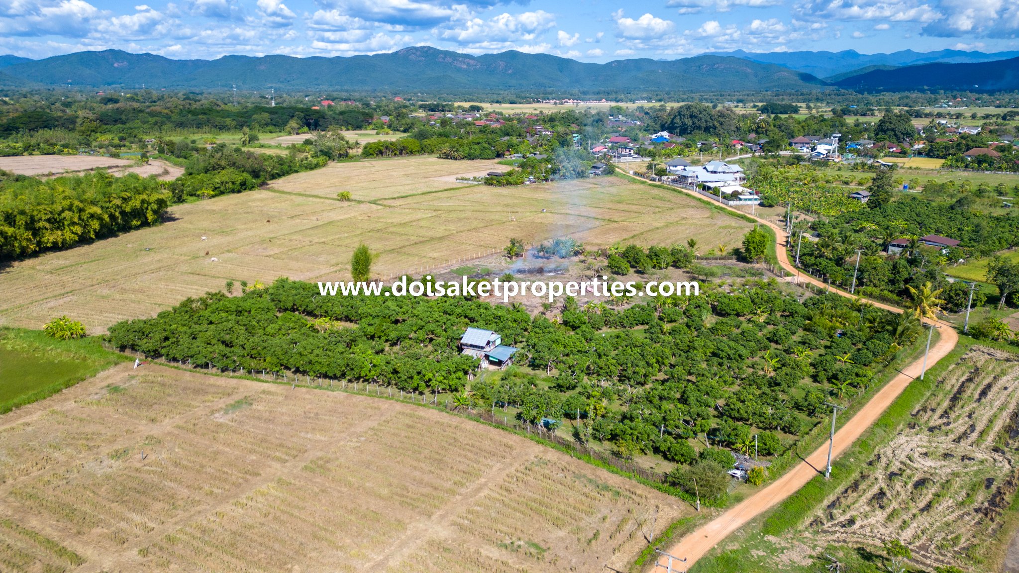 Doi Saket-DSP-(LS377-04) Beautiful 4+ Rai Plot of Land with Great Views for Sale in Luang Nuea