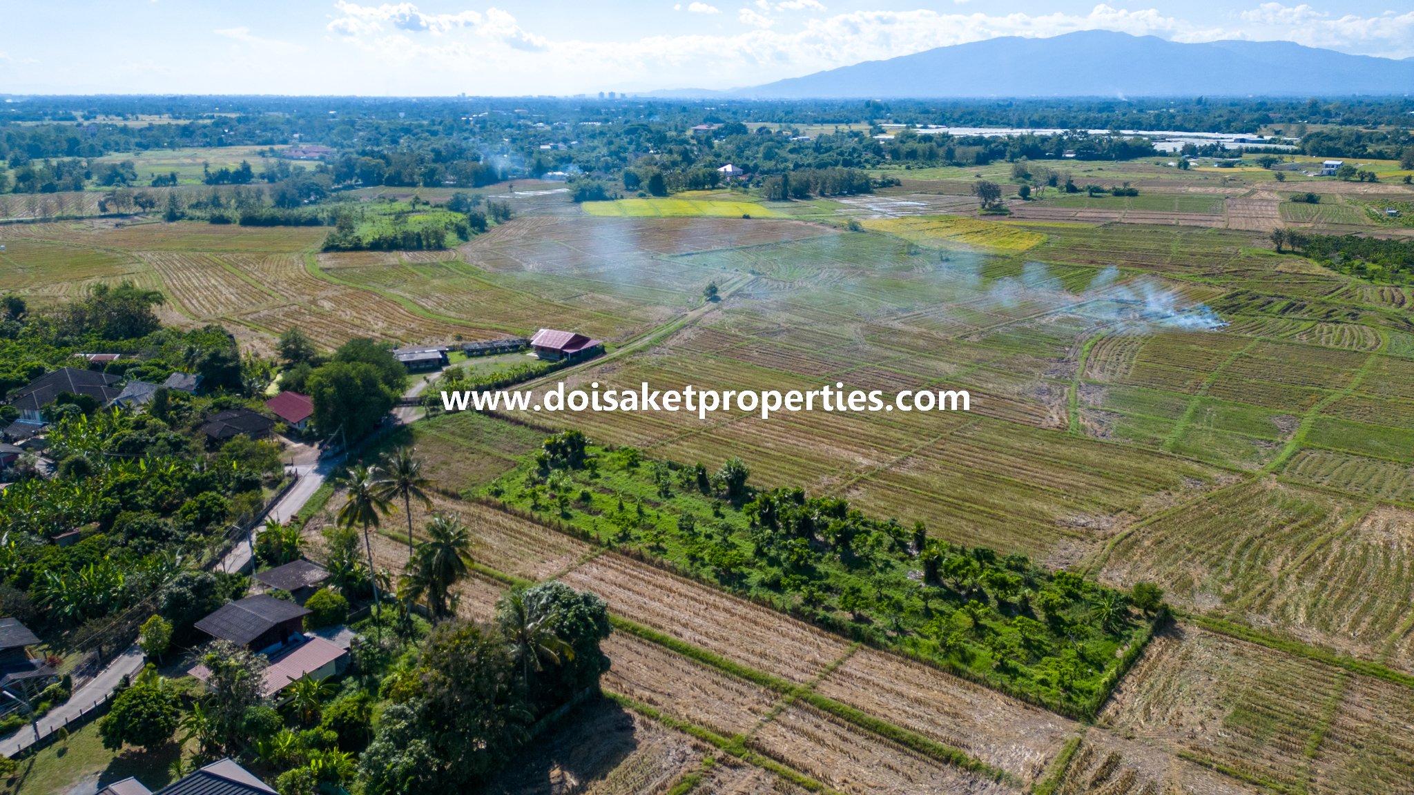 Doi Saket-DSP-(LS378-02) 2+ Rai of Land with Views for Sale in Luang Nuea