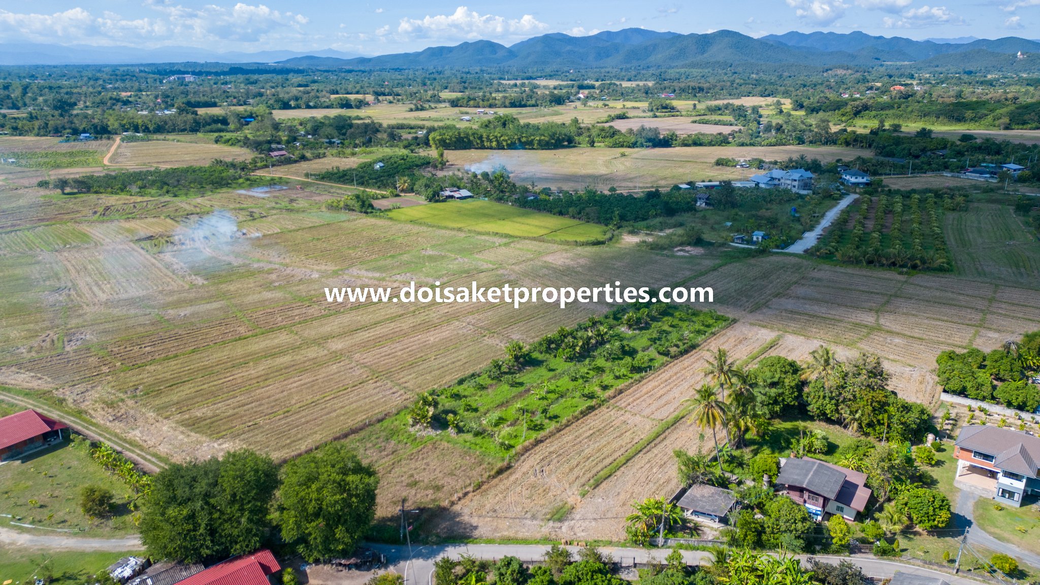 Doi Saket-DSP-(LS378-02) 2+ Rai of Land with Views for Sale in Luang Nuea