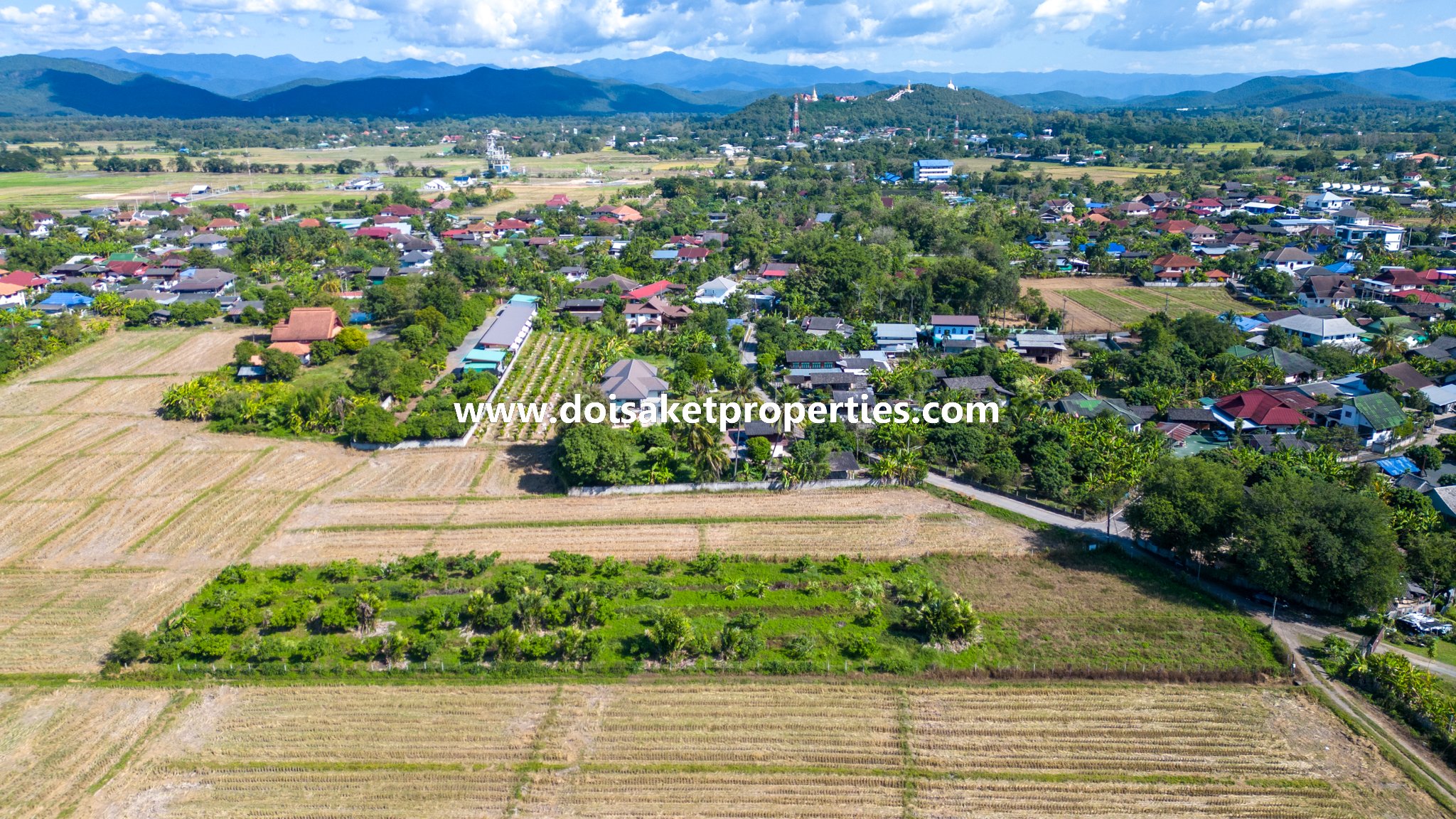 Doi Saket-DSP-(LS378-02) 2+ Rai of Land with Views for Sale in Luang Nuea