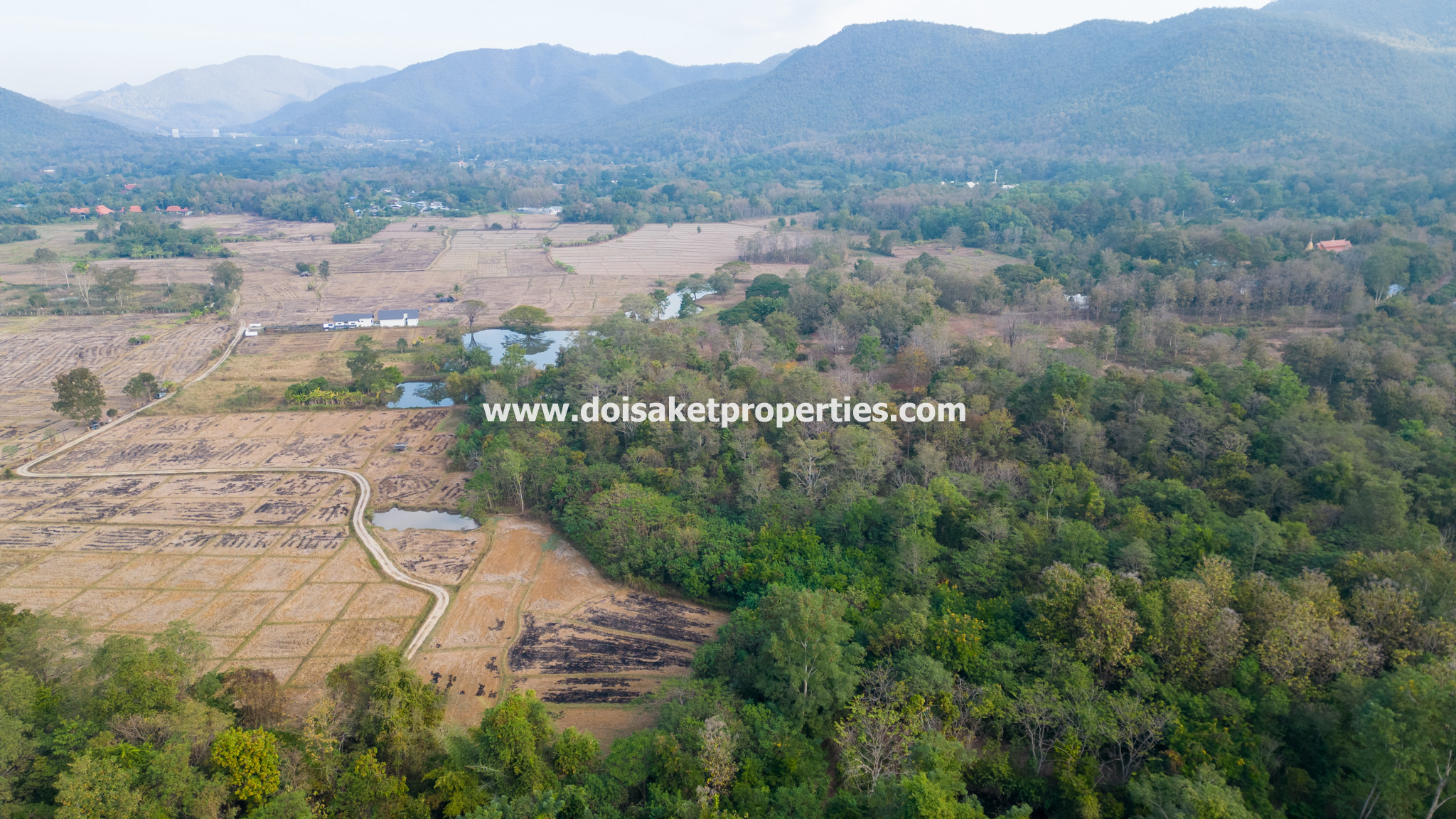 Doi Saket-DSP-(LS390-19) Great 19.5+ Rai Plot of Land for Sale in Luang Nua