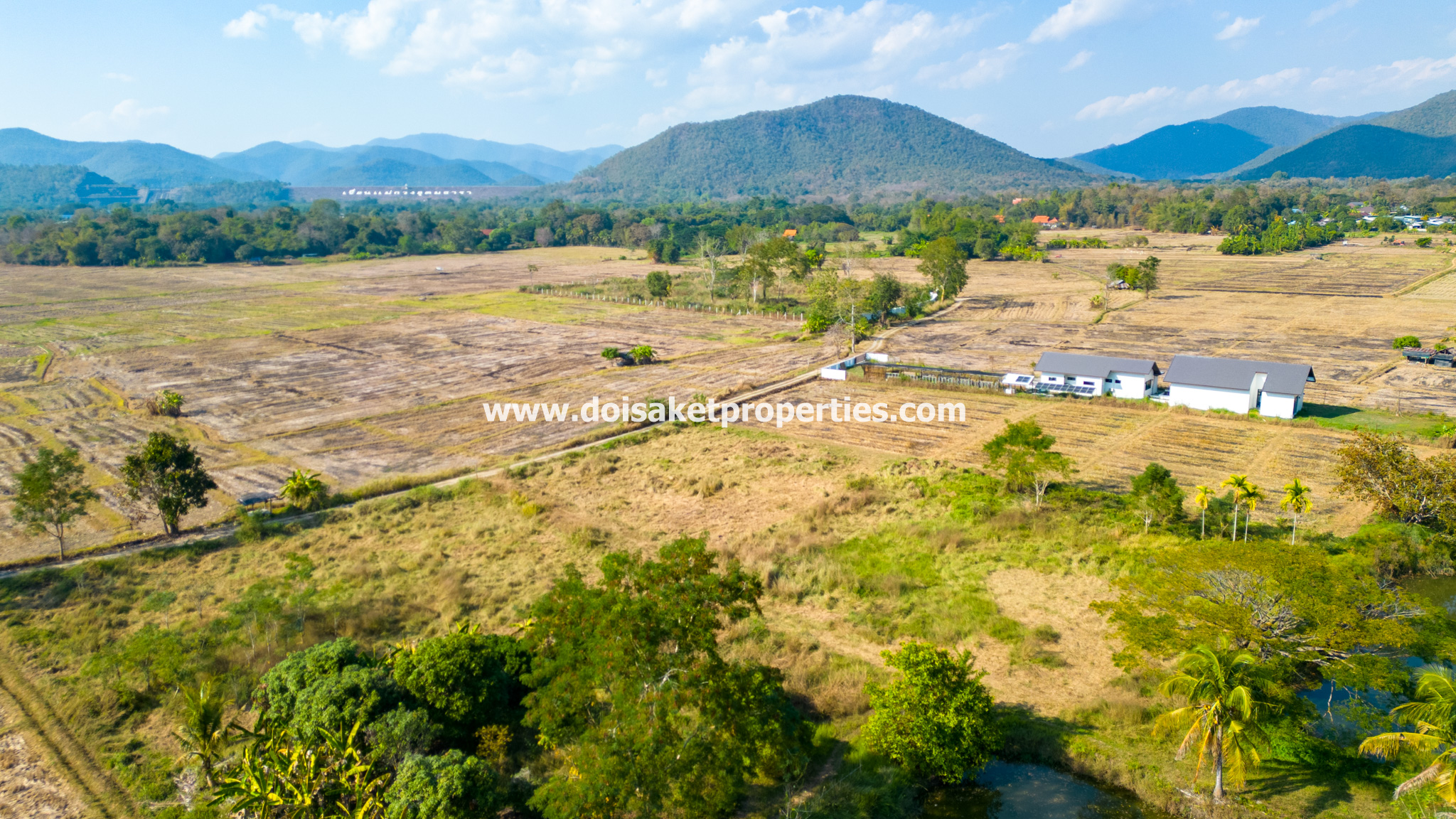 Doi Saket-DSP-(LS391-49) Beautiful ~49 Rai Plot of Land with Incredible Views for Sale in Luang Nua