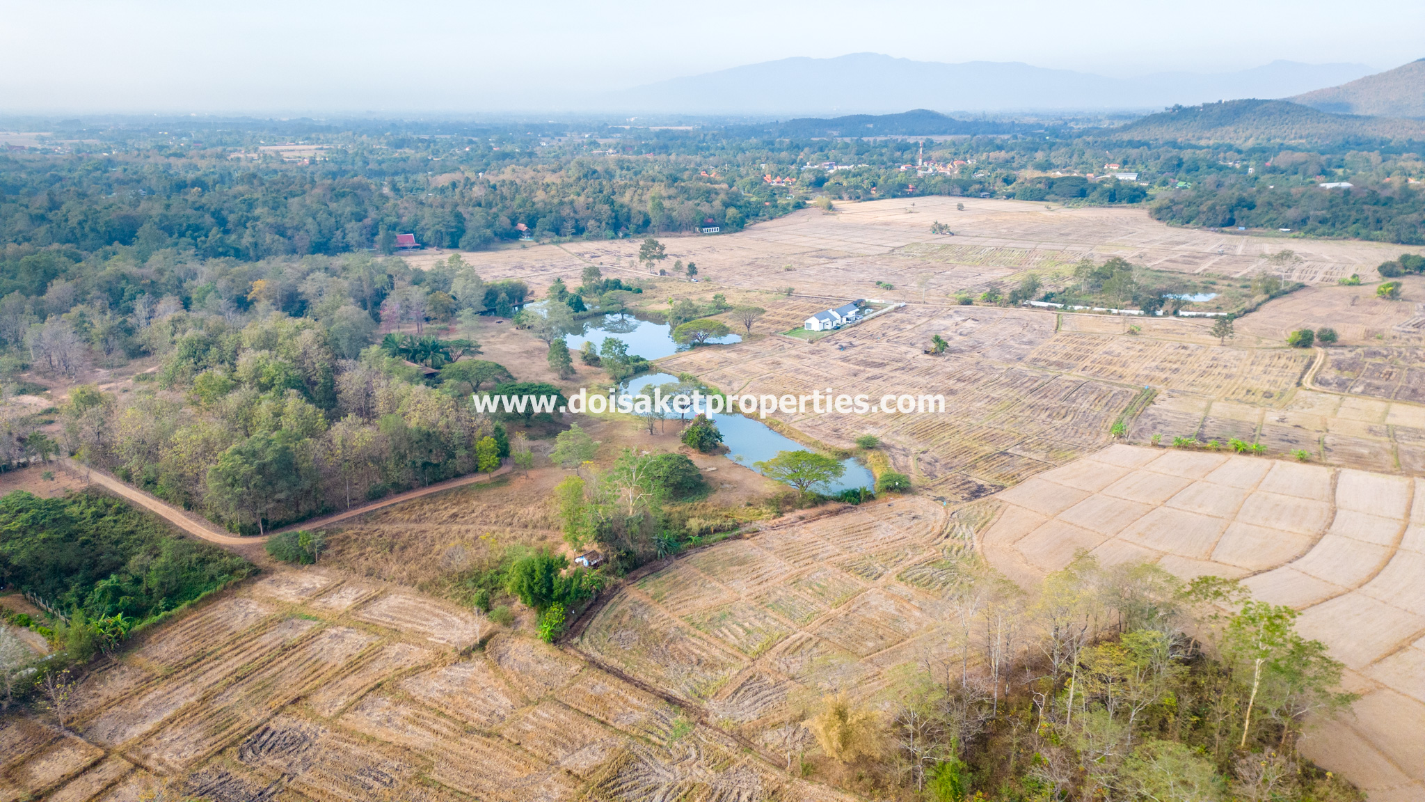 Doi Saket-DSP-(LS391-49) Beautiful ~49 Rai Plot of Land with Incredible Views for Sale in Luang Nua