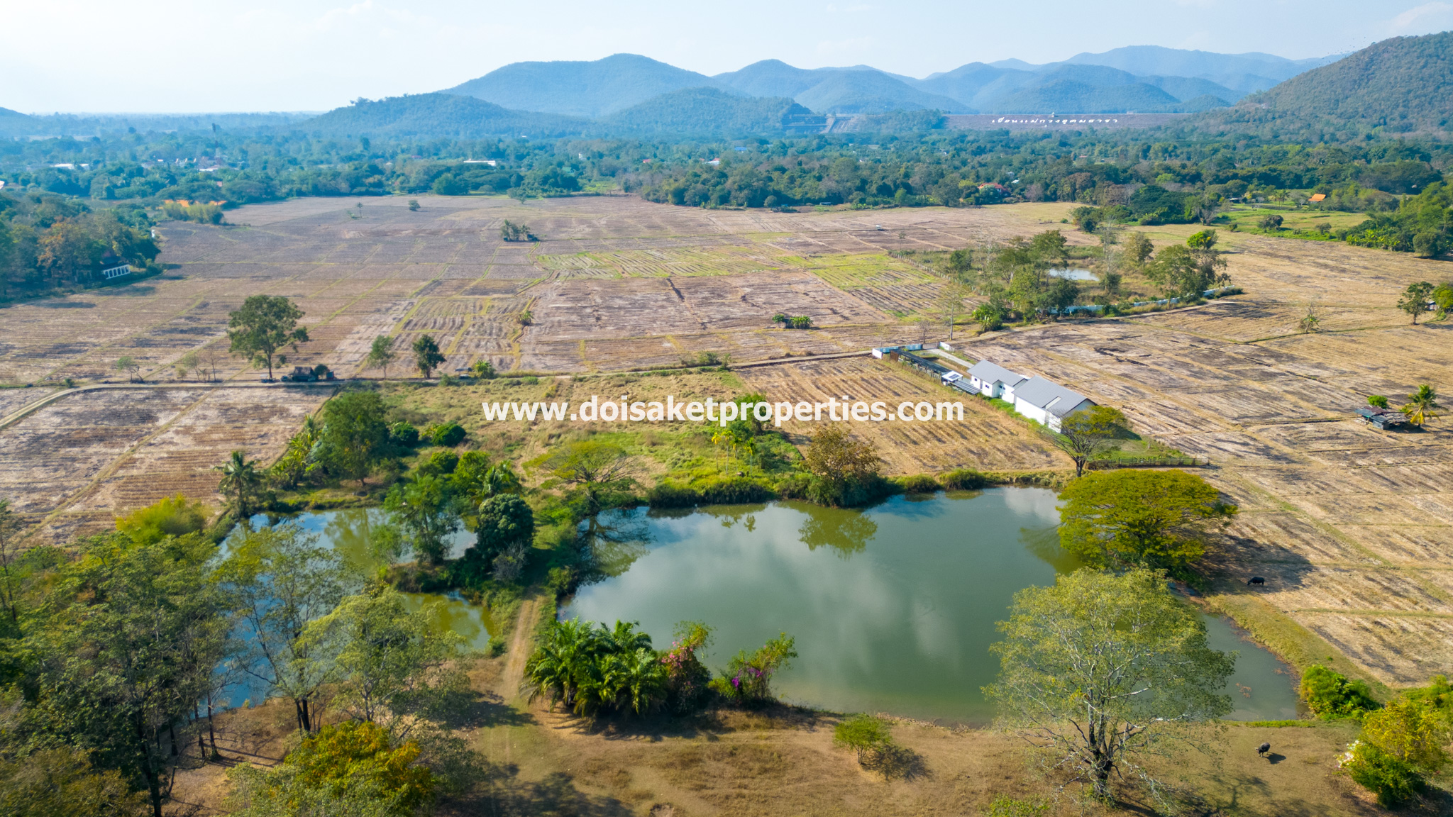 Doi Saket-DSP-(LS391-49) Beautiful ~49 Rai Plot of Land with Incredible Views for Sale in Luang Nua